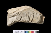 藏品(石灰岩)的圖片